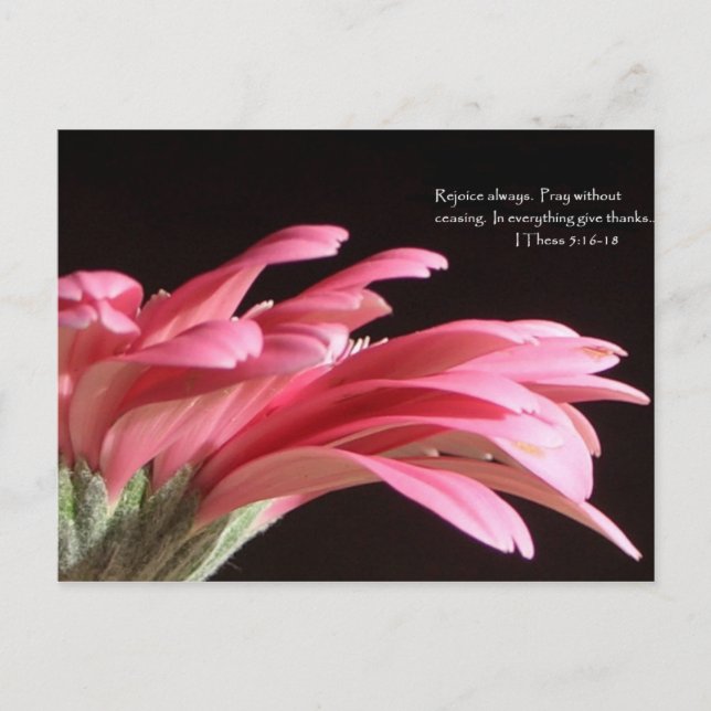 1 Thess 5:16-18 Postcard (Front)