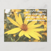 1 Thessalonians 5:16-18 Sunflower Postcard