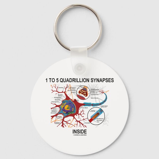 1 To 5 Quadrillion Synapses Inside (Neuron) Keychain (Front)