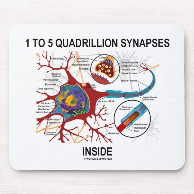 1 To 5 Quadrillion Synapses Inside (Neuron) Mouse Pad (Front)