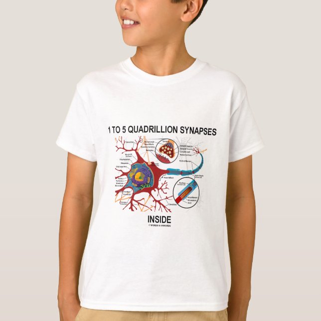 1 To 5 Quadrillion Synapses Inside (Neuron) T-Shirt (Front)