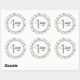 1 Year Milestone Baby Giraffes and Balloons Classic Round Sticker