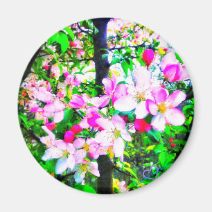 1APPLE BLOSSOMS MAGNET