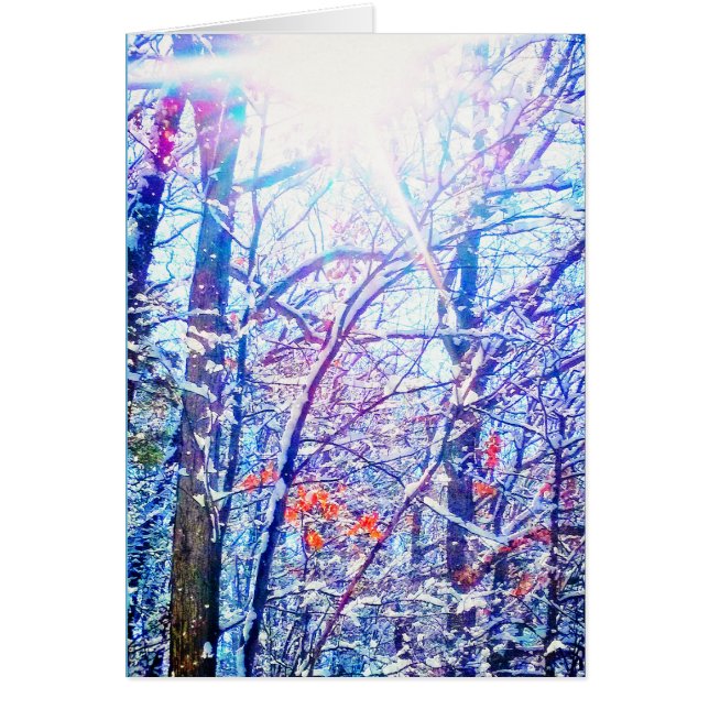 1Carte Sun hiver (Devant)