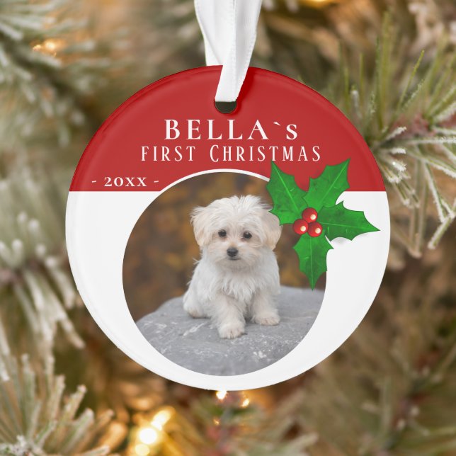 1er Chiot`s Christmas Holly Berry Dog Pet Photo (Arbre)