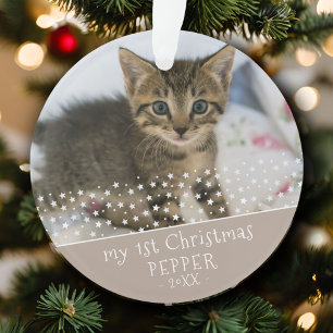 1ère photo de chat Noël