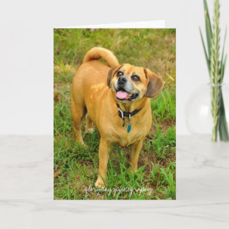 1HCD_3930, glorydaysphotography Card