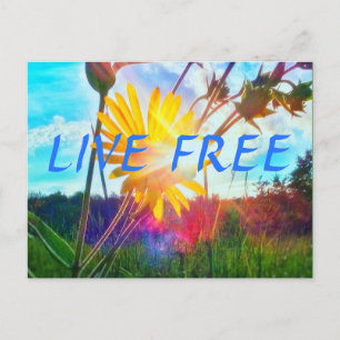 1LIVE FREE POSTCARD