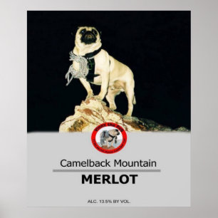 1Lt. Vincent Thomas Carlins Étiquette privé Poster