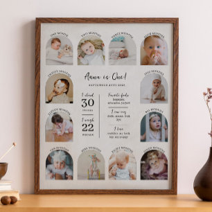 1st Birthday Baby Milestone Sign w/ Arch Photos