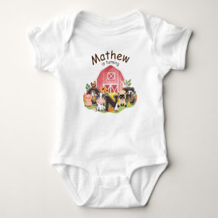 1st Birthday Farm barnyard cute animals, I’m one   Baby Bodysuit