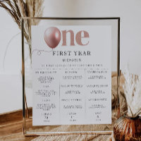 1st Birthday Milestone Board