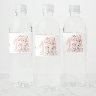 1st Birthday Party   Girl   Water Bottle Label