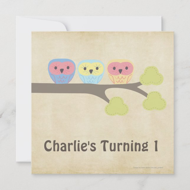 1st Birthday Party Retro Baby Owls Invitation (Front)