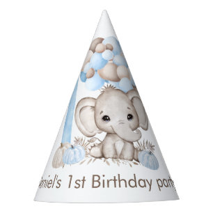 1st Birthday Personalized Party Hat
