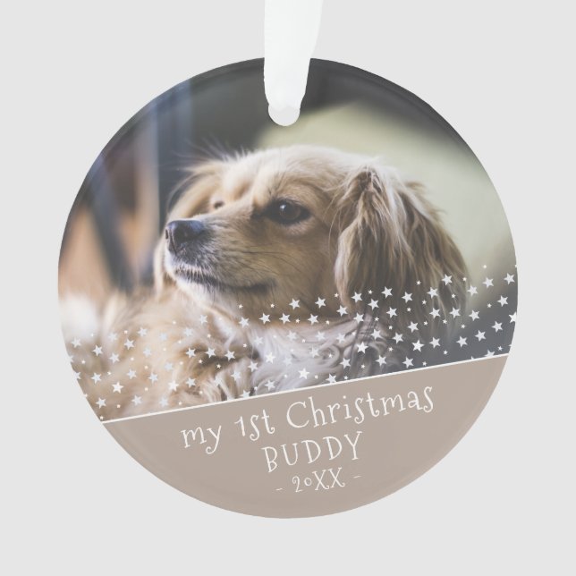 1st Christmas Dog Pet Photo Keepsake Ornament (Front)