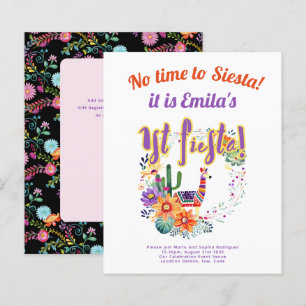 1st Fiesta Birthday For a Girl Folkart BUDGET