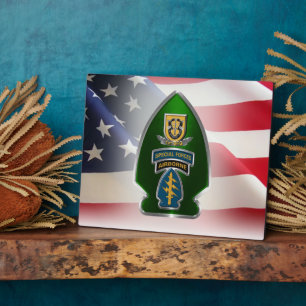 1st Special Forces Group (AIRBORNE) Plaque