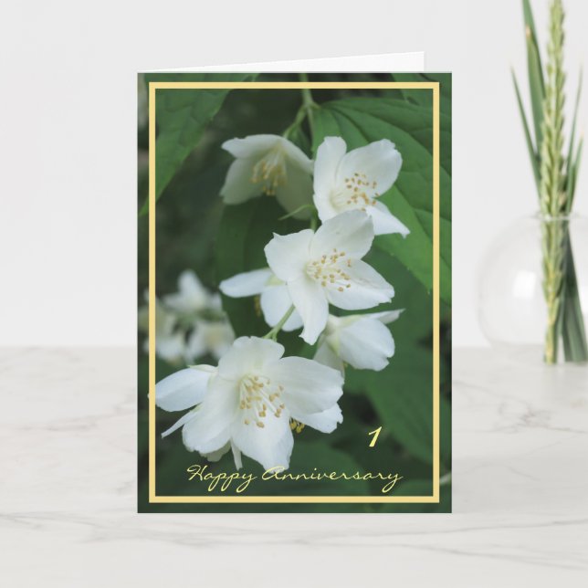 1st Wedding Anniversary Wishes Jasmine Elegant Card (Front)