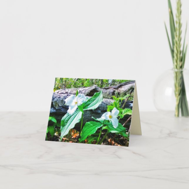 1TRILLIUMS GREETING CARD (Front)