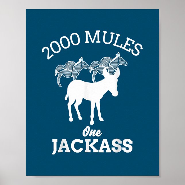2000 Mules Ones Jackass For Men Women Gift Dad  Poster (Front)