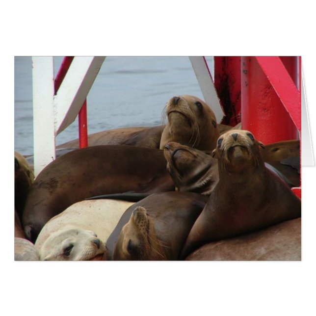 2005 Août 089 (Devant horizontal)