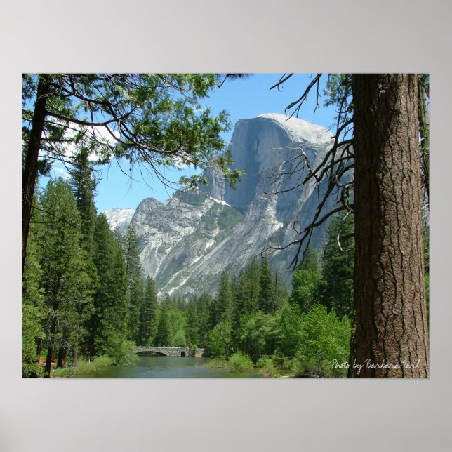 2005 may yosemite 198, Photo by Barbara Earl Poster (Front)