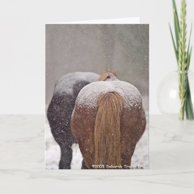 2005 OMRH Christmas Card Photo Second Place Winner (Front)