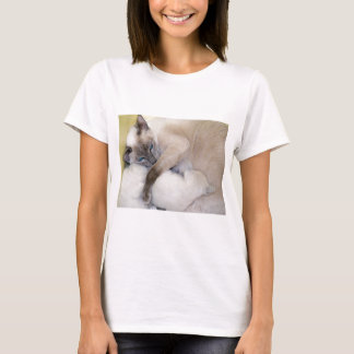 2007 07 06 cats 005_edited-1 T-Shirt