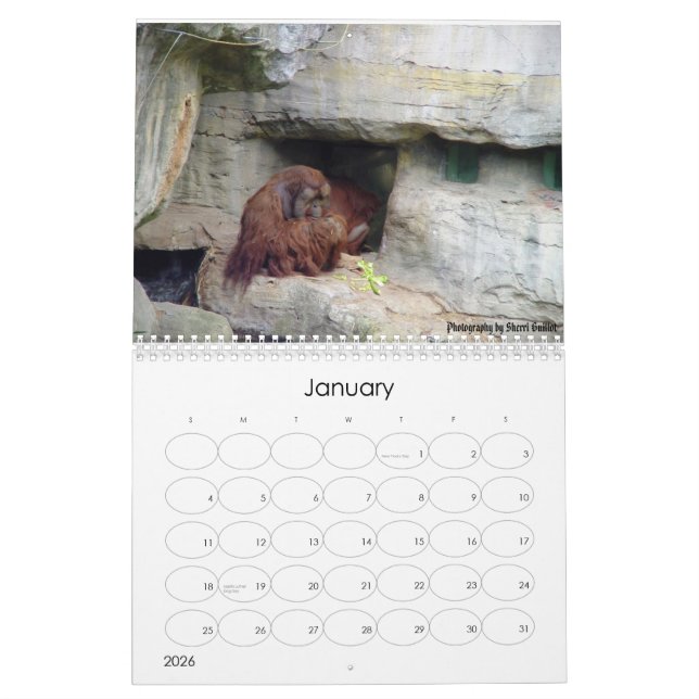 2008 Animal Calendar (Jan 2026)
