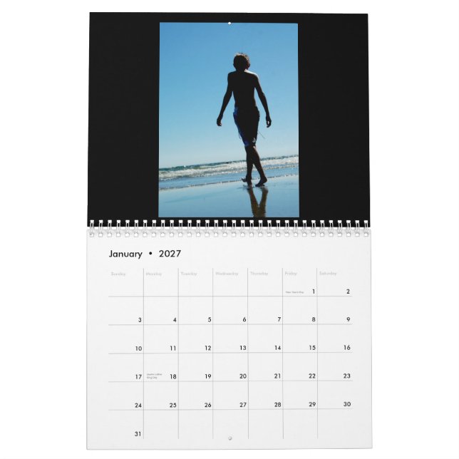 2008 Calendar by Diana Carroll (Jan 2027)