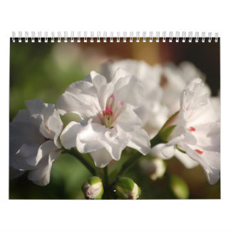 2008 Flowers Photo Calendar