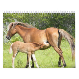 2009-7-23 Wright Corolla 00118 Calendar