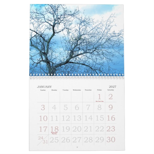 2009 by Little Grey Pixel Calendar (Jan 2027)