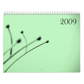 2009 by Little Grey Pixel Calendar