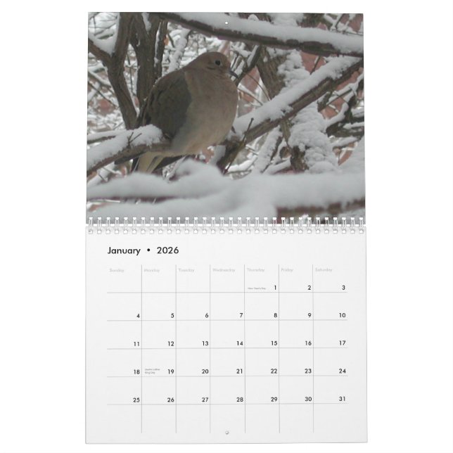 2009 calendriers "du jardin de l'homosexuel" (Jan 2026)