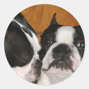 2009-Cover Classic Round Sticker