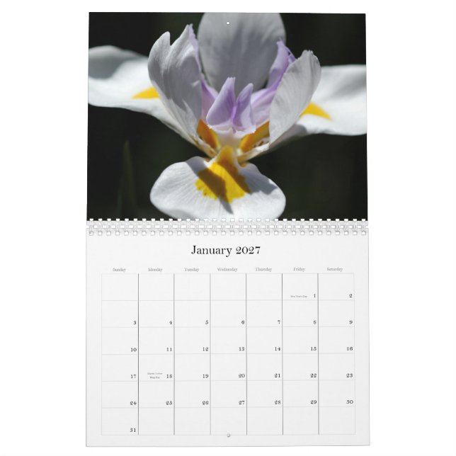 2009 - Flowers Calendar (Jan 2027)