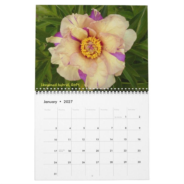 2009 Intersectional Peony Calendar - Customized (Jan 2027)