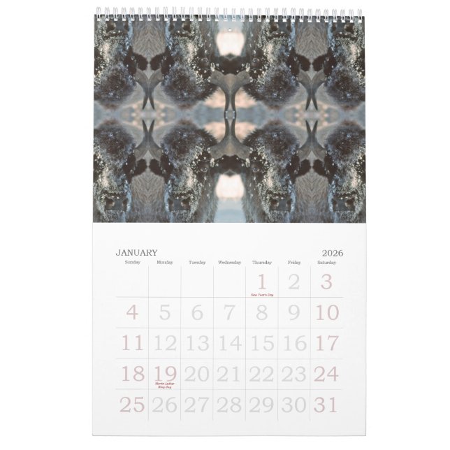 2009 Kaleidoscopes Calendar (Jan 2026)