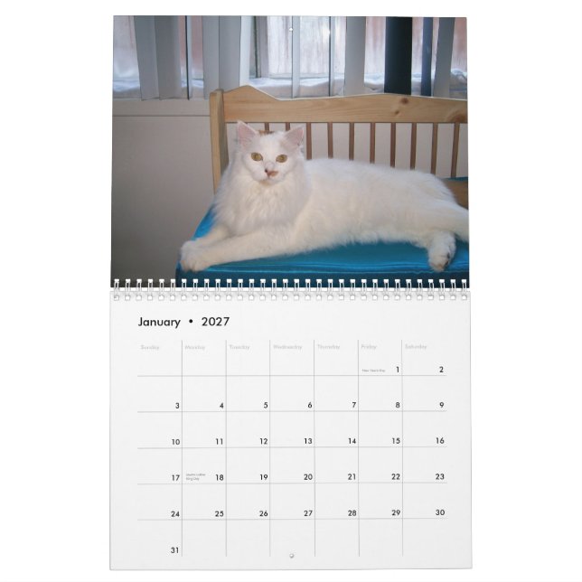 2009 Loving the Feral Soul Inc. Feral Cat Calendar (Jan 2027)