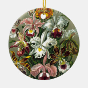 20101126181226!Haeckel_Orchidae.jpg Ceramic Ornament