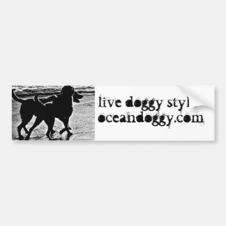 2010 bumper sticker-1 sticker