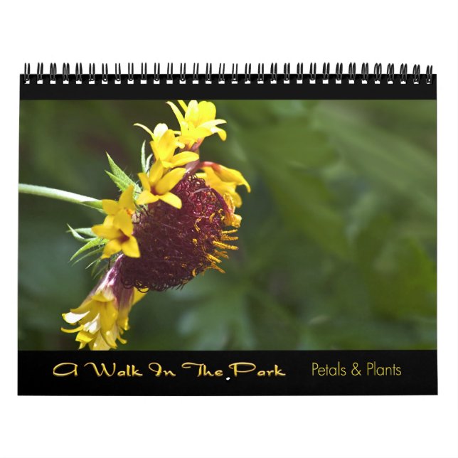 2010 Calendar - A Walk In The Park (Cover)
