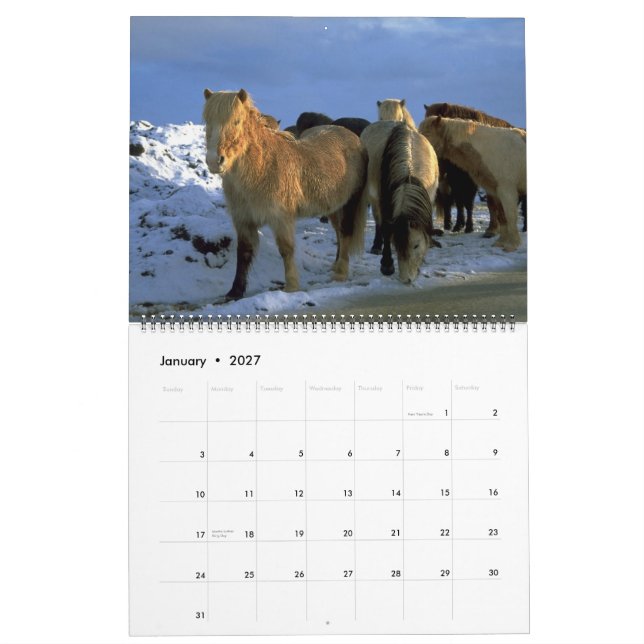 2010 Calendar Icelandic Horses Theme (Jan 2027)