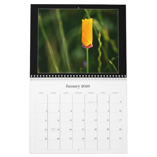 2010 Colour Photography Calendar (Jan 2026)