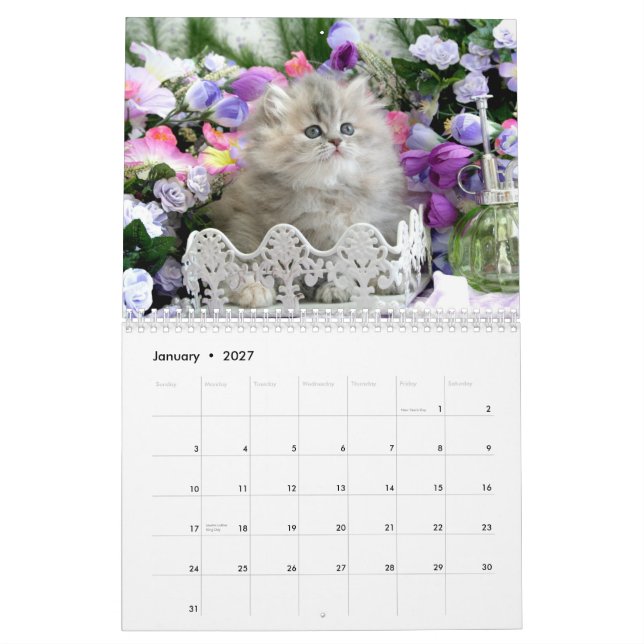 2010 Cozy Kittens Calendar - Customized (Jan 2027)