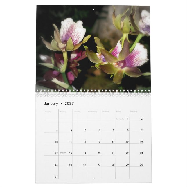 2010 Flower Photography Calendar (Jan 2027)