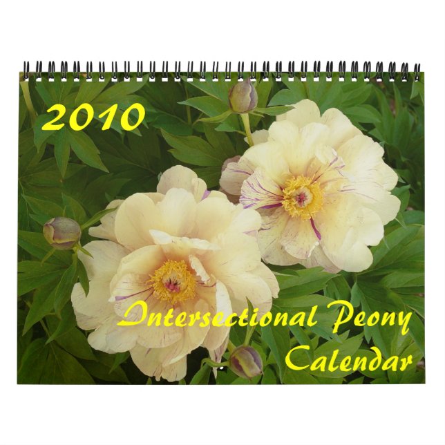 2010 Intersectional Peony Calendar (Cover)