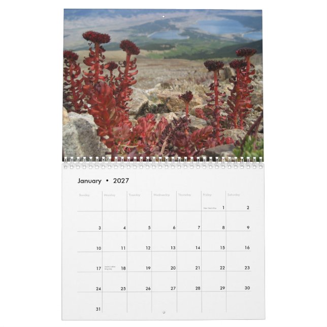 2010 Nature Calendar (Jan 2027)